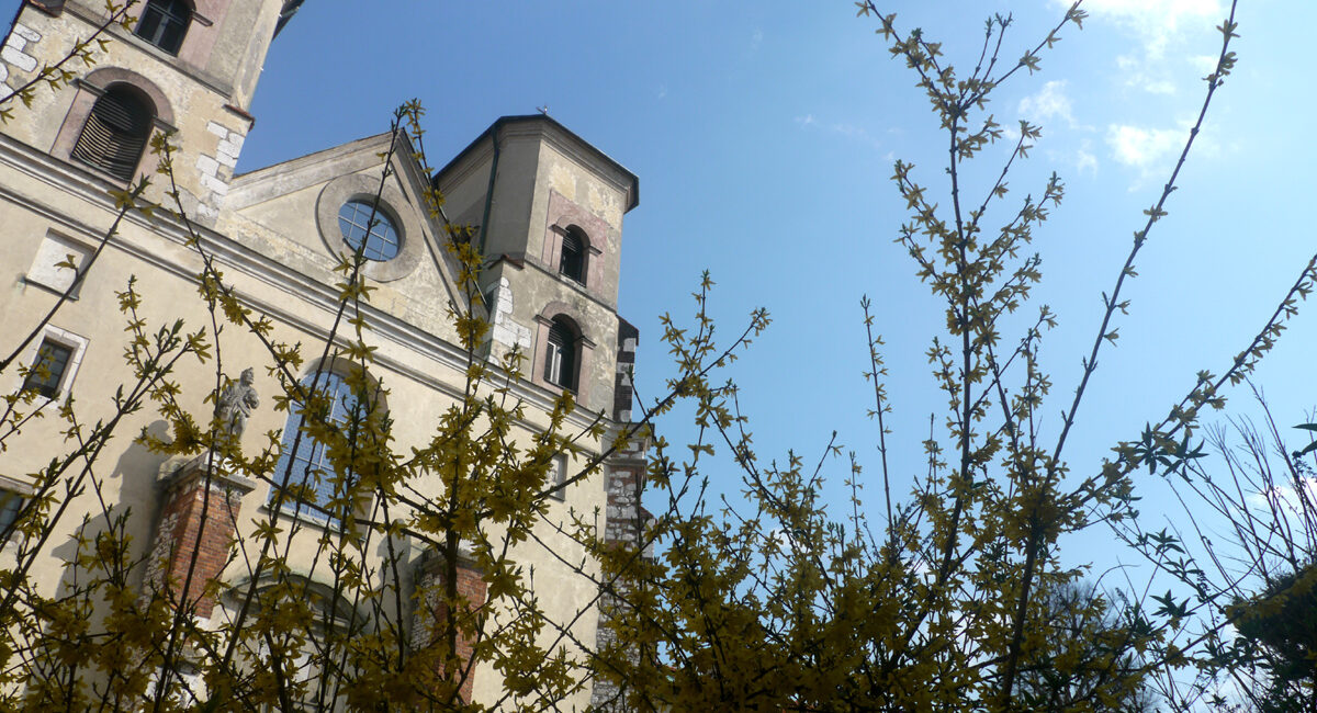 Działalność